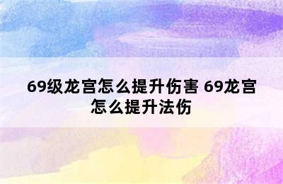 69级龙宫怎么提升伤害 69龙宫怎么提升法伤